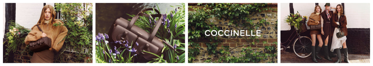 Coccinelle