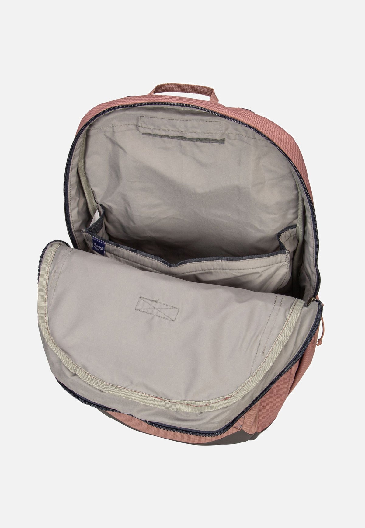 Deuter Cotogy Ashrose/Ink Rucksack