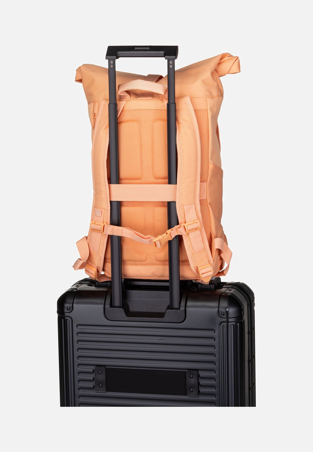 Johnny Urban Allen Medium Peach Rolltop Rucksack